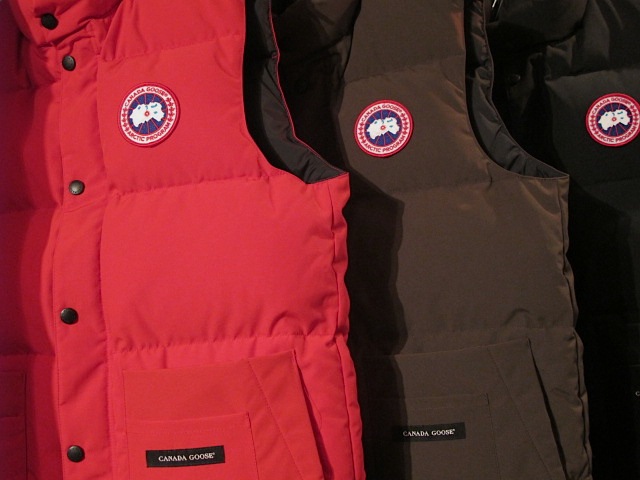 Regular Blog Vest