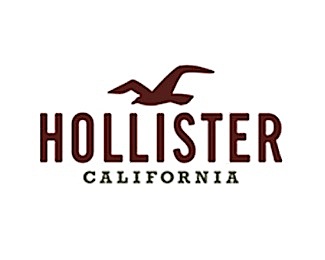 Hollister-logo