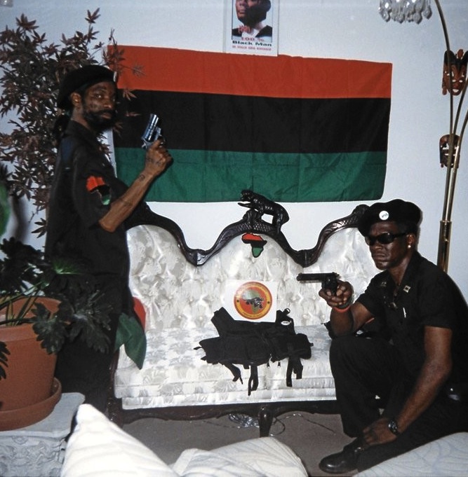 Black-panthers-flag-and-guns