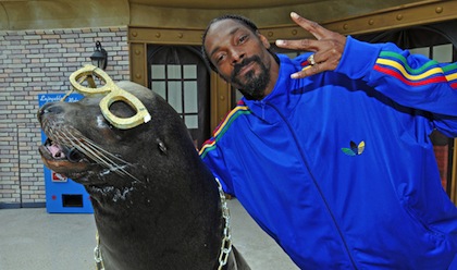 Snoop-Dogg